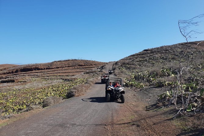 2-hour Buggy Tour from Costa Teguise - Buggies, Pacing, and the Reality of a Rough Ride