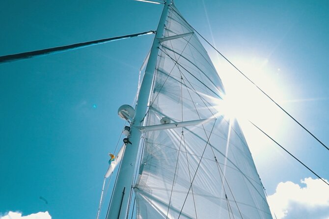 2hrs Dolphins Sunset Sailing Cruise With Drink - Comfort tips that actually matter at sea