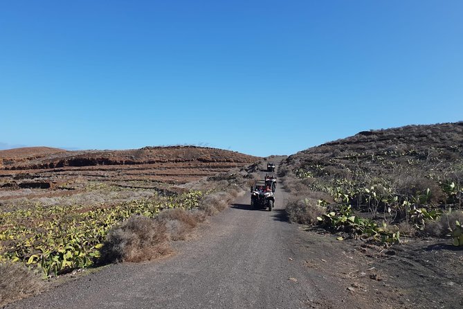 3-hour Buggy Tour from Costa Teguise - What’s included (and what you’ll want to bring anyway)