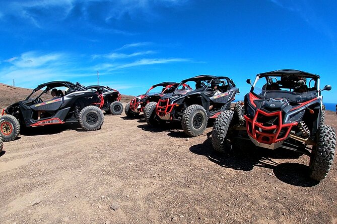 3 Hour Guided Buggy Tour Around the Island of Lanzarote - La Geria wine cellars near Timanfaya: more than a quick pass