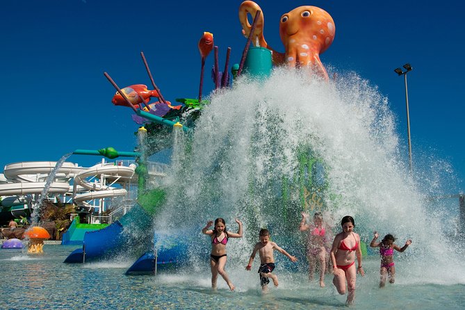 Aqualava Waterpark Lanzarote Entrance Ticket - Timan Fire for thrill seekers: five looping slides with a 1.20m height minimum