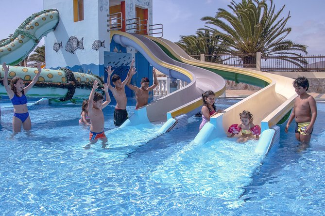 Aquapark Costa Teguise tickets with Optional Transfer - Aquapark Costa Teguise: how 22,000 m² of slides plays in real life