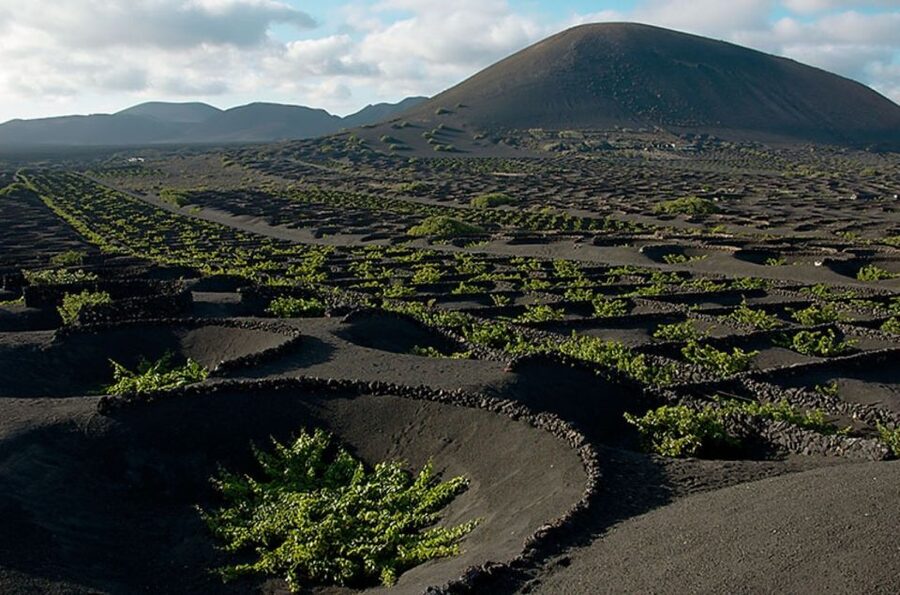 Arrecife/Playa Blanca: Timanfaya National Park Area Day Tour - Why Timanfaya and Southern Lanzarote Fit So Well in One Day