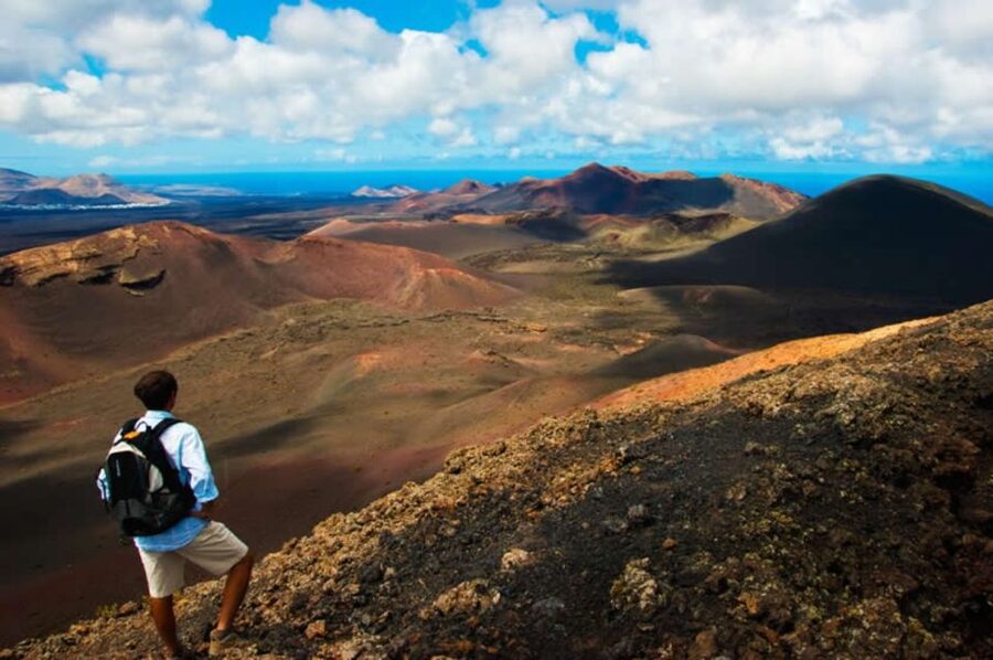 Arrecife/Playa Blanca: Timanfaya National Park Area Day Tour - Getting Around: Pickup and the Comfort of a Group Bus