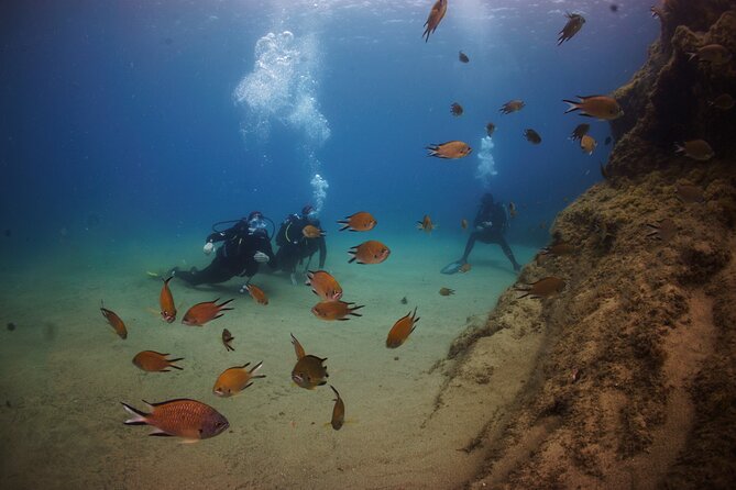 Beginner dive from Playa Chica with Instructor - What happens in the water: shallow skills, then up to 6 meters max