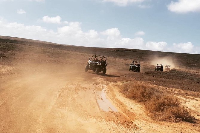 Buggy 3h Guided tour of the north of Lanzarote - Key Highlights You’ll Feel on This Tour