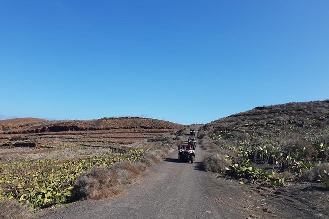 Buggy 3h Guided tour of the north of Lanzarote - The Real Value: Price Per Group, Small Group Limit, and the Extra Transport Fee