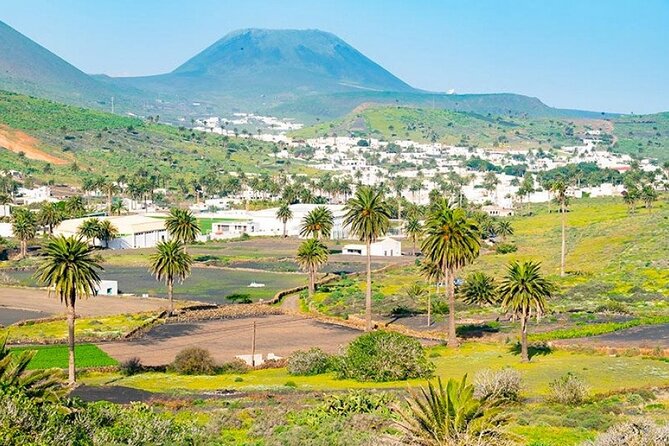 César Manrique: Northern Lanzarote Guided Tour - Jameos del Agua: caves, design, and more steps than you think