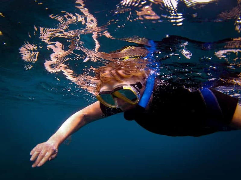 Costa Teguise: Snorkeling Tour with Instructor & Equipment - Price and value: what $51 includes, and what it doesn’t