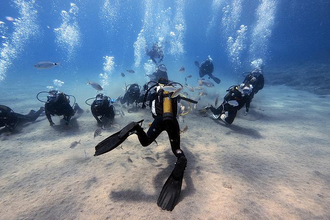 Discover Scuba Diving - Key Points to Know Before You Go