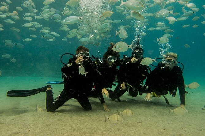 Discover Scuba Diving - Playa Blanca Check-In: What the Start Feels Like