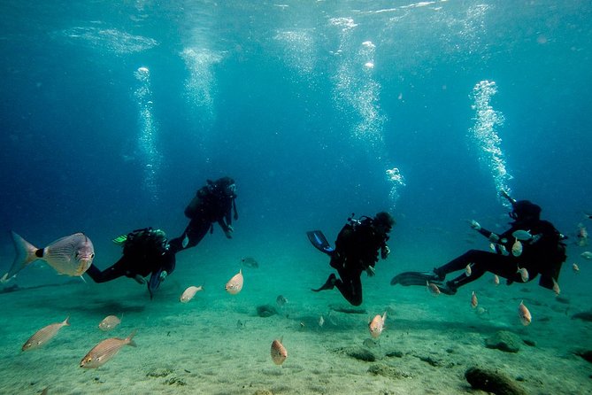Discover Scuba Diving - Timing Tips: Flying, Weather, and Your Day Schedule