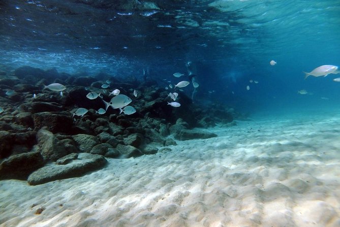 Discover Scuba Diving in Lanzarote (Costa Teguise) - Health Notes You Shouldn’t Skip (Especially Asthma or Epilepsy)