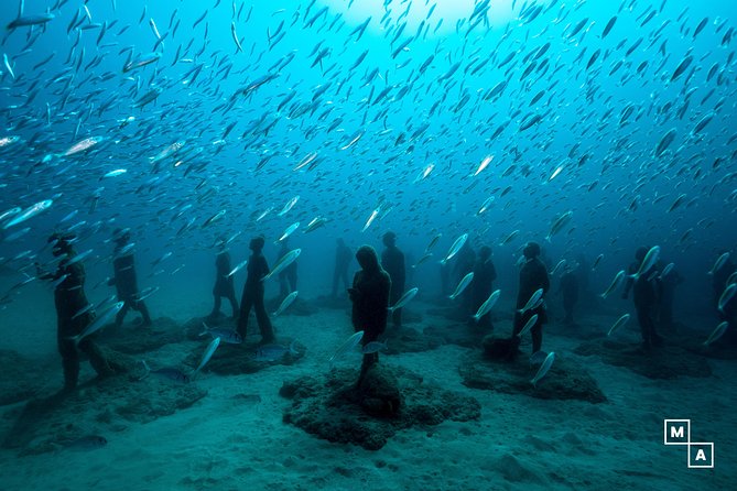 Discover the underwater world of Lanzarote - Key highlights worth planning around