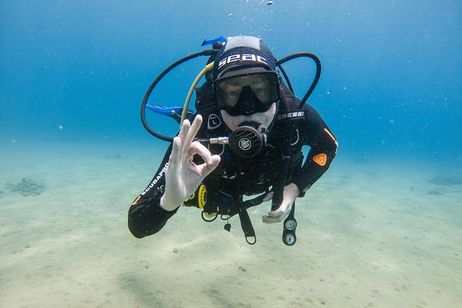 Discover the underwater world of Lanzarote - The sheltered-bay experience: low depth, fish spotting, and real comfort