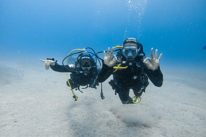 Discover the underwater world of Lanzarote - Practical tips to make your session smoother