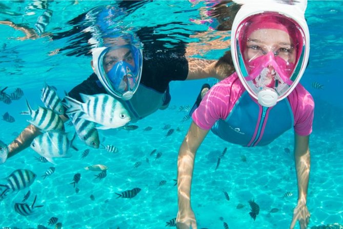Dolphin Mini Cruise at Playa del Carmen - Lanzarote’s Coastline From Sea Level: The Bonus You Don’t Want to Miss