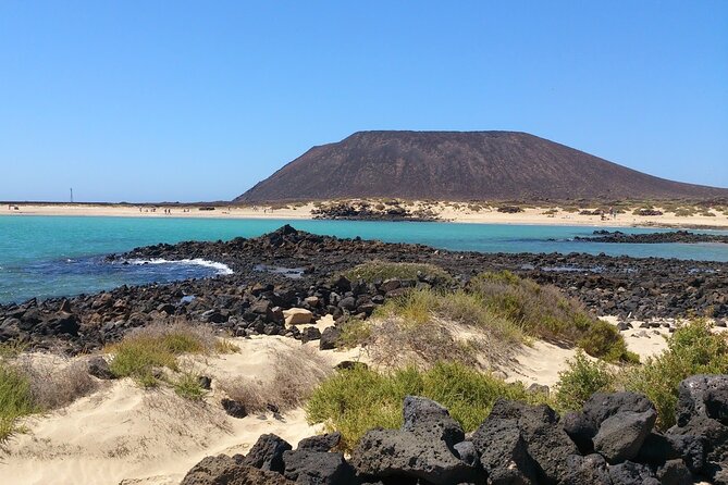 Dolphin Watching Cruise to Lobos Island - Dolphins and whales: how to enjoy the hunt without getting stressed