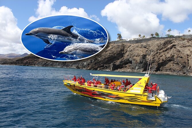 Dolphin Watching Mini Cruise and Snorkeling from Lanzarote - Quick Highlights Before You Go