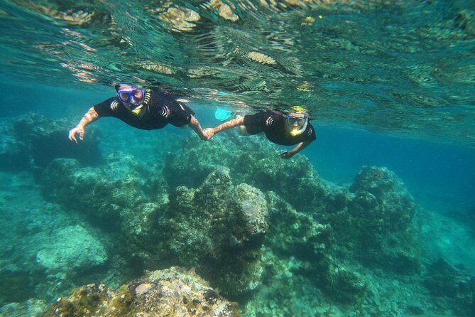 Experience Snorkelling in Puerto Del Carmen, Lanzarote - Key things that make this snorkelling trip worth it
