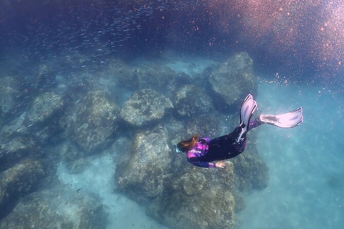 Experience Snorkelling in Puerto Del Carmen, Lanzarote - Playa Chica bay: why this spot helps you see fish