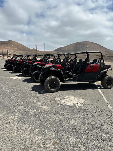 Family buggy - 4 seats, on road tour - Price and value: $188 per group up to four