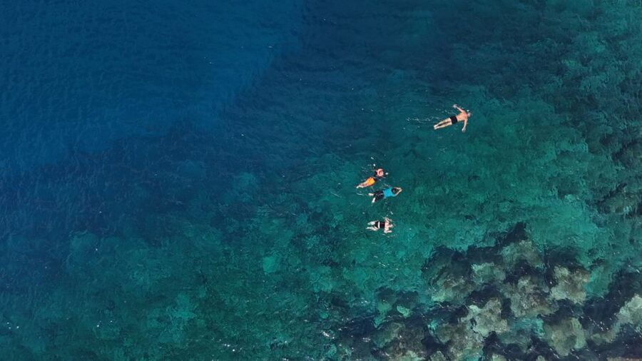 Flamingo Beach: Guided SUP and Snorkeling experience - Snorkeling with fish names you can actually use