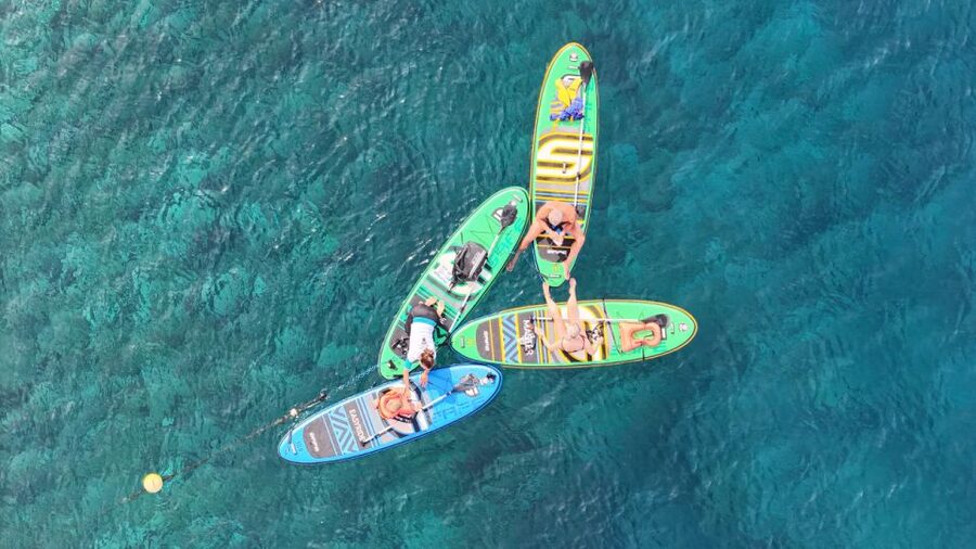 Flamingo Beach: Guided SUP and Snorkeling experience - Price reality check: is $69 worth it?