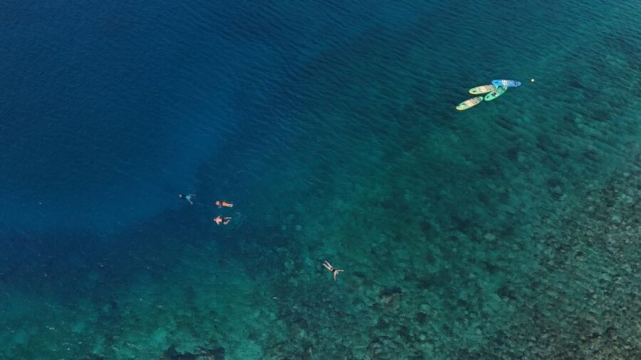 Flamingo Beach: Guided SUP and Snorkeling experience - What to bring, what to wear, and a couple practical surprises