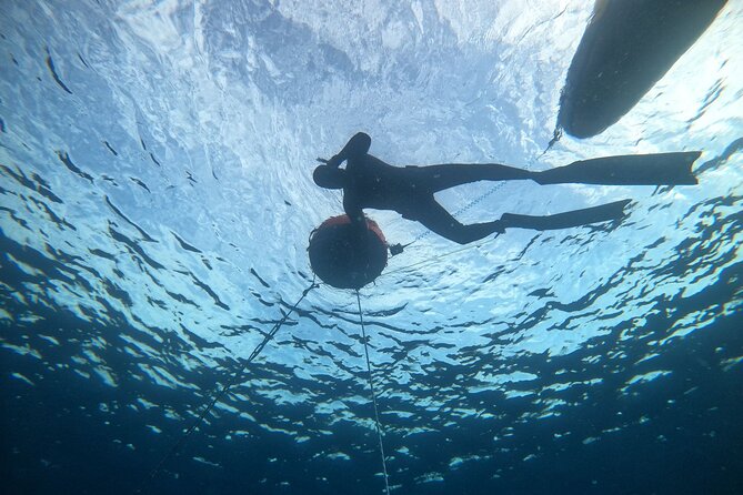 Freediving at Museum Atlantico - Museo Atlantico freediving in Arrecife: what you’re really signing up for