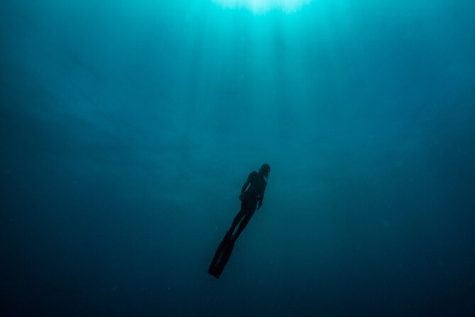 Freediving at Museum Atlantico - Price and value: what $57.88 buys you