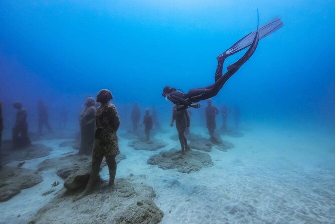 Freediving at Museum Atlantico - Pickup and mobile ticket: small logistics that can save stress