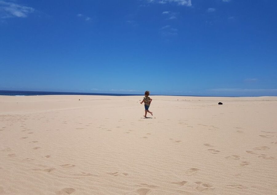 From Lanzarote: Fuerteventura Day Trip - Corralejo Dunes Natural Park: Sloping dunes and turquoise-water views