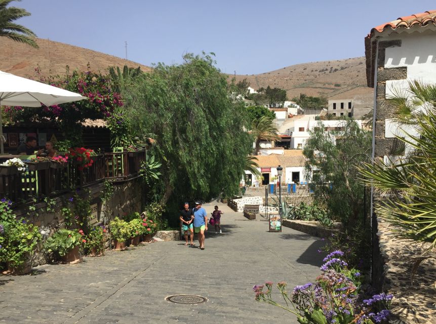 From Lanzarote: Fuerteventura Day Trip - Should you book it?