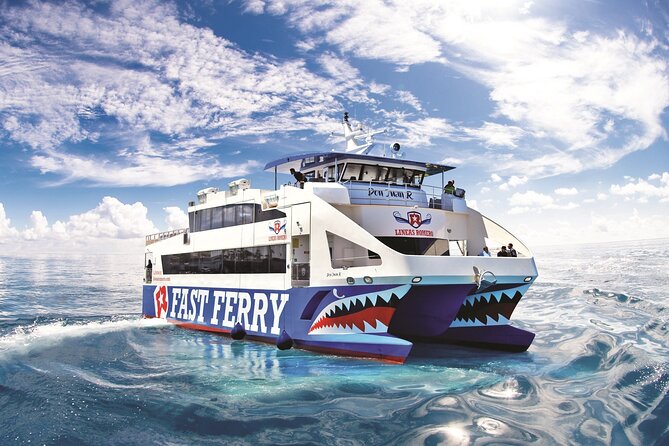 Fuerteventura at your leisure( bus transfer and return ferry ticket) - Group size and the vibe: 200 max, but still your own itinerary