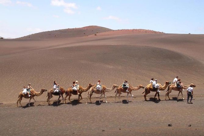 Full Day Tour to Timanfaya, Green Lagoon and La Geria - Language, Group Size, and What the Best Guides Do