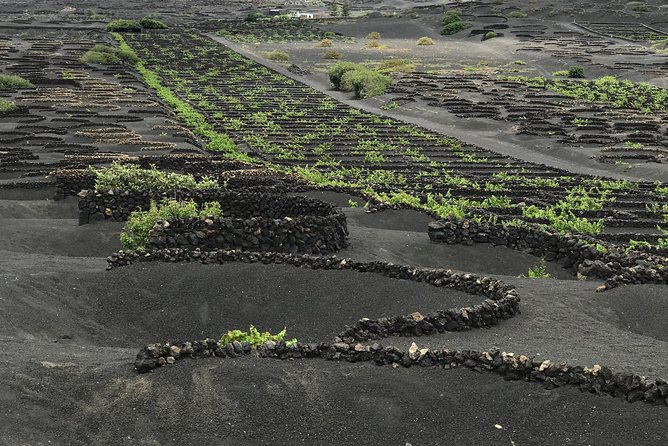 Grand Tour Lanzarote Experience : The Landscape Footprint - Lunch, Timing, and Where the Day Can Feel Tight