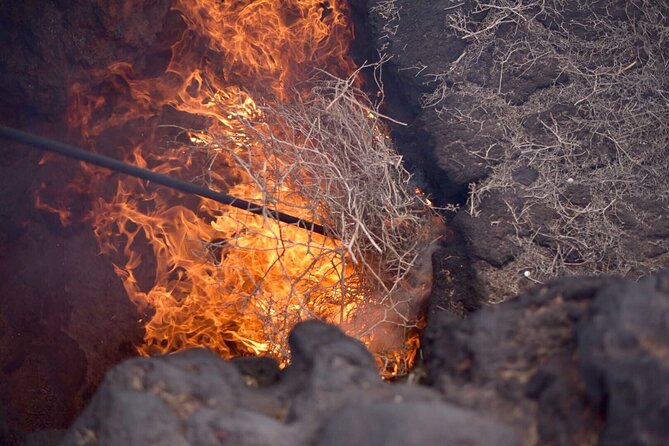 Grand Tour to Timanfaya and Jameos del Agua for cruise passengers - Casa-Museo del Campesino: farmers, icon sculptures, and the center of Lanzarote