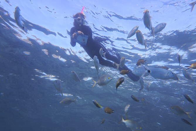 Guided Snorkeling Experience - The water time in Playa Blanca: where you’ll focus your eyes