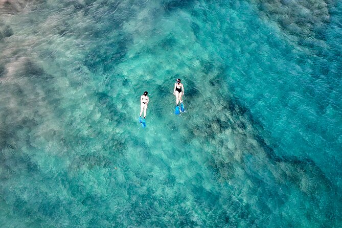 Guided Snorkeling Experience - Guide quality: Laura, Mars, and what that means for your comfort