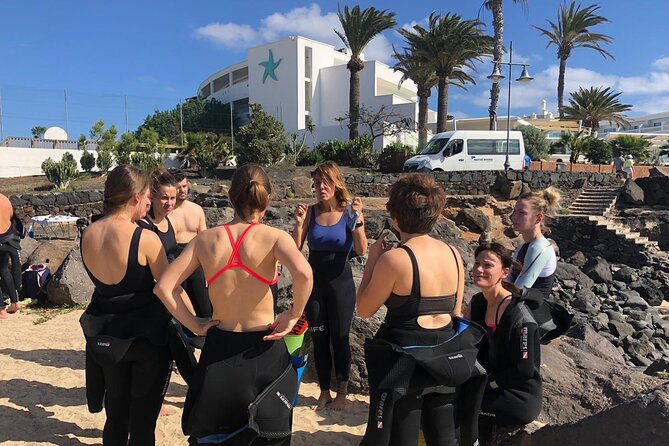 Guided Snorkeling Experience - Price and value: is $65 worth it?