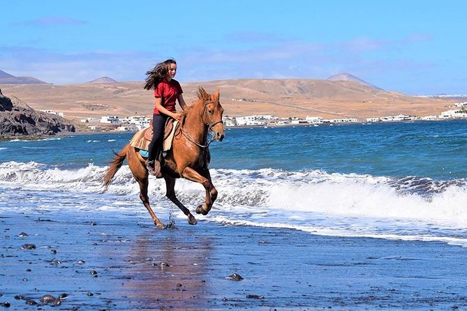 Horseback Riding in the sunset of Famara Beach, Lanzarote, Spain - Price and Value: Is $282.56 Worth It?