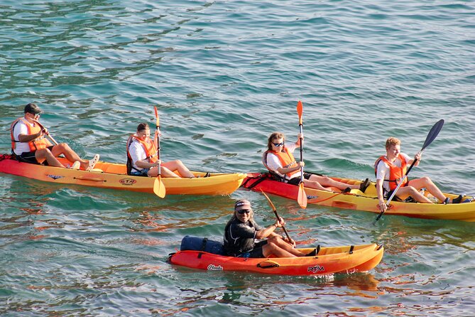 Kayak Excursion to Papagayo - Key highlights you’ll actually care about