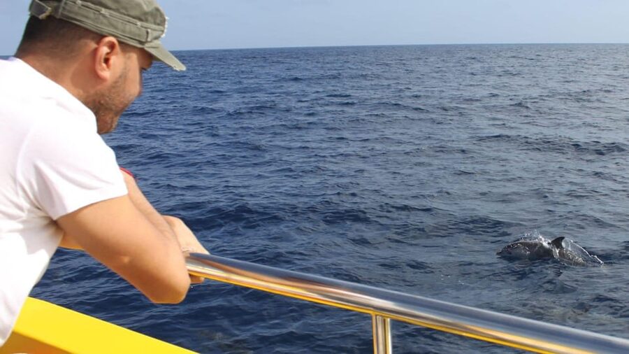 Lanzarote: 2.5-Hour Sunset and Dolphins Cruise - Key things to know before you go