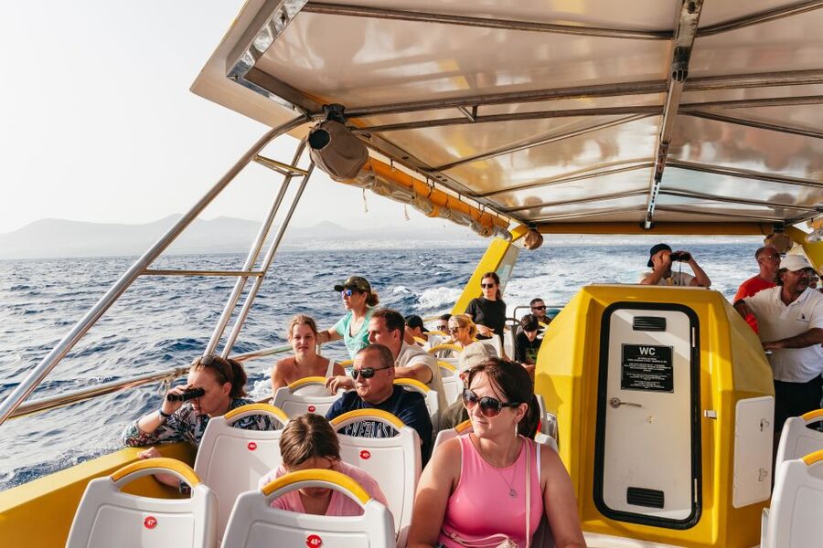 Lanzarote: 2.5-Hour Sunset and Dolphins Cruise - Price and value: how $61 stacks up for a hotel-to-harbour dolphin sunset