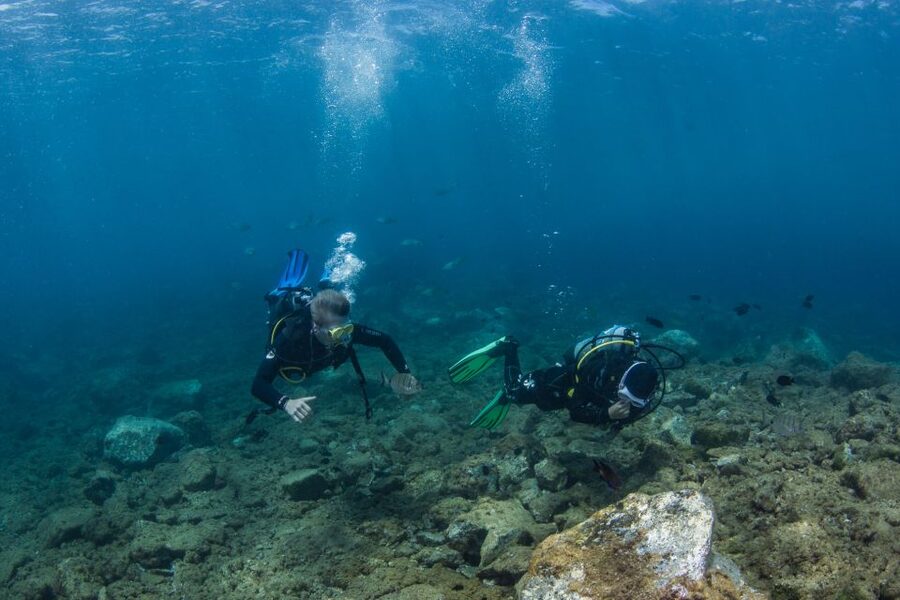Lanzarote: 2-dive package in Playa Blanca - certified divers - Getting the most from Playa Flamingo and Timanfaya