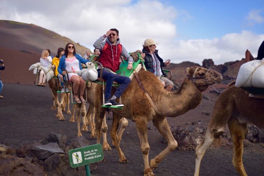 Lanzarote: 5-Hour Timanfaya National Park Southern Tour - Timanfaya National Park: Fire Mountains, Lava Fields, and the Geothermal Energy Story