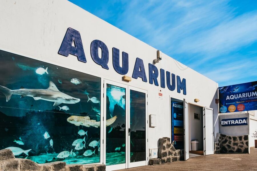 Lanzarote: Aquarium Entry Ticket - Key points worth knowing before you go