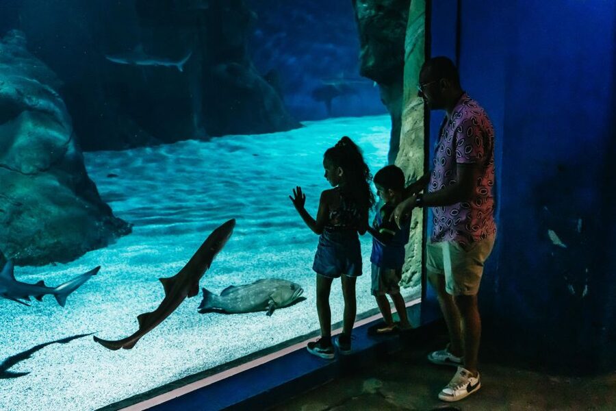 Lanzarote: Aquarium Entry Ticket - Feeding times: when watching quietly beats rushing around