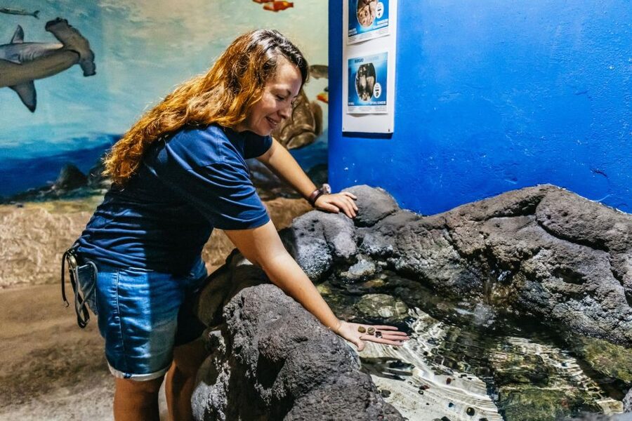 Lanzarote: Aquarium Entry Ticket - How long should you plan? Here’s a realistic timing guide